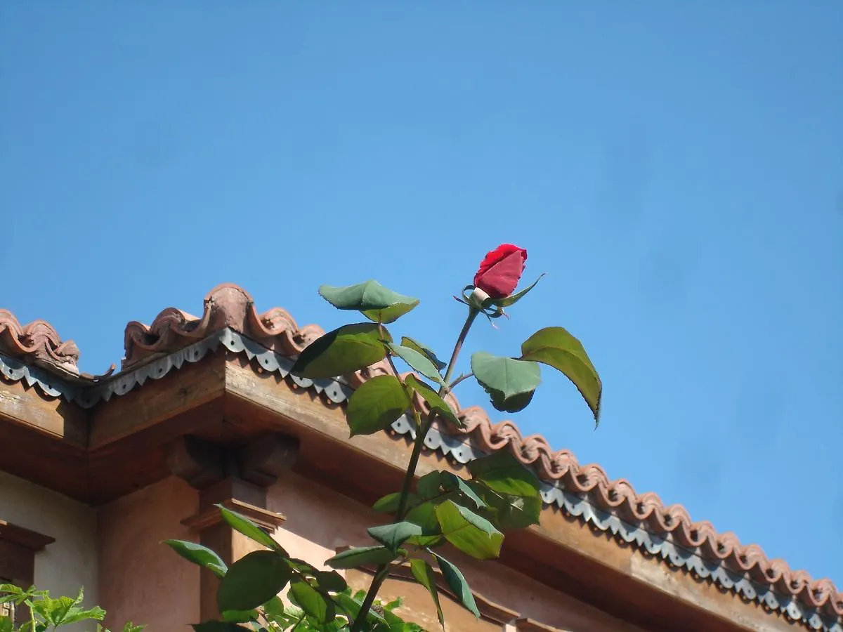 Oikia Alexandrou Traditional Inn Arnea Griechenland